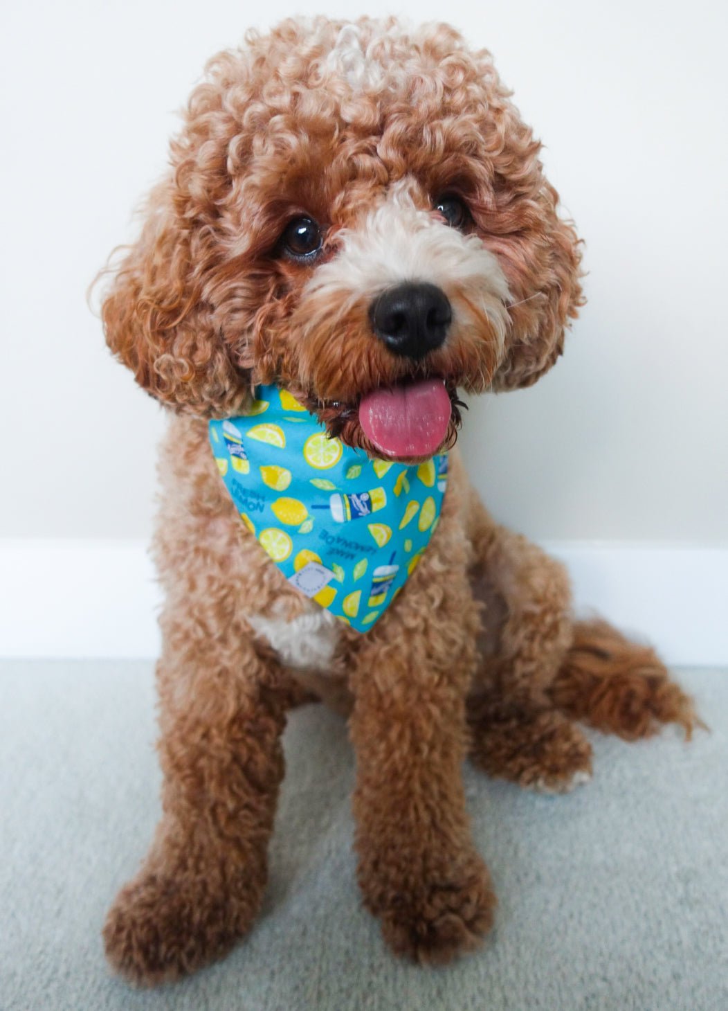 When Life Gives You Lemons Dog Bandana - SUNNY TAILS