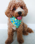 When Life Gives You Lemons Dog Bandana - SUNNY TAILS