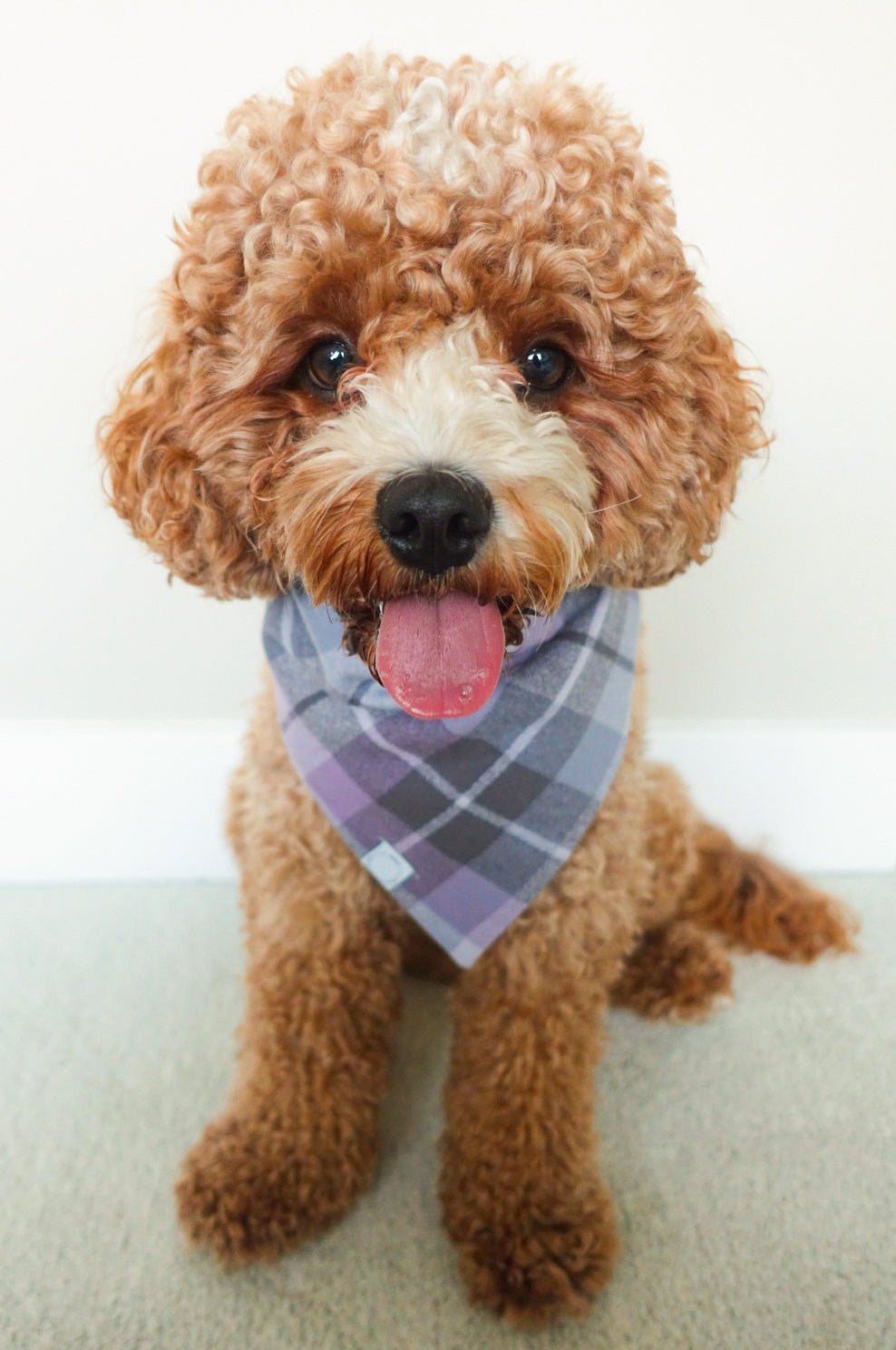 Purple Plaid Flannel Dog Bandana - SUNNY TAILS