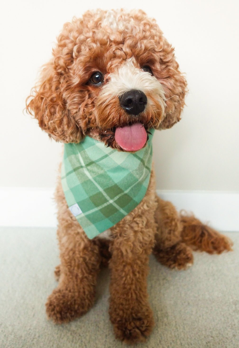 Sage Plaid Flannel Dog Bandana - SUNNY TAILS