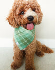 Sage Plaid Flannel Dog Bandana - SUNNY TAILS