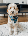 Corduroy Floral Dog Bandana - SUNNY TAILS