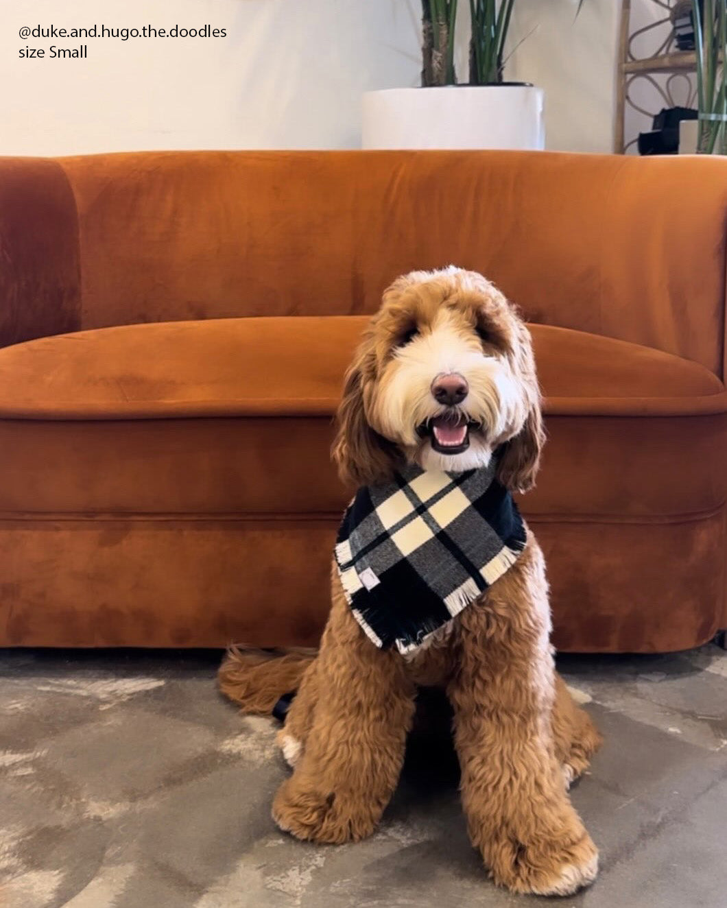 Black and White Flannel Frayed Dog Bandana