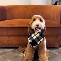 Black and White Flannel Frayed Dog Bandana