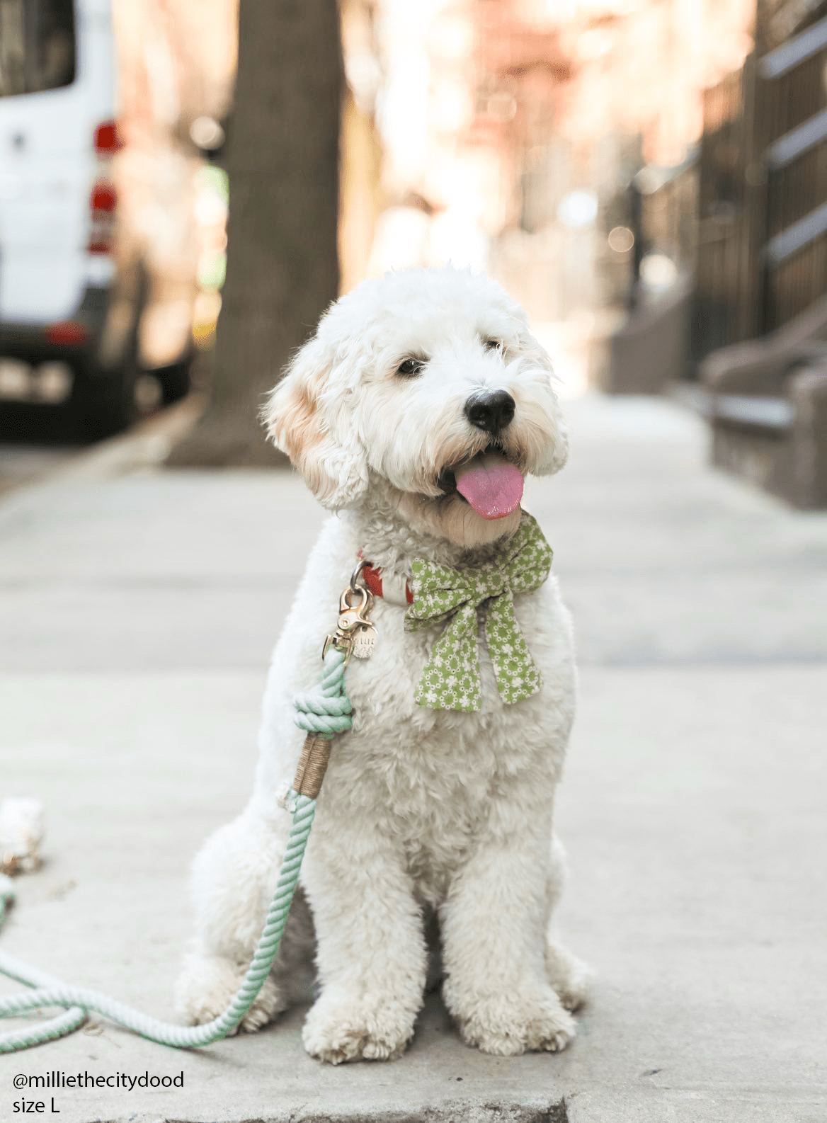 Olive Eyelet Sailor Dog Bow Tie - SUNNY TAILS