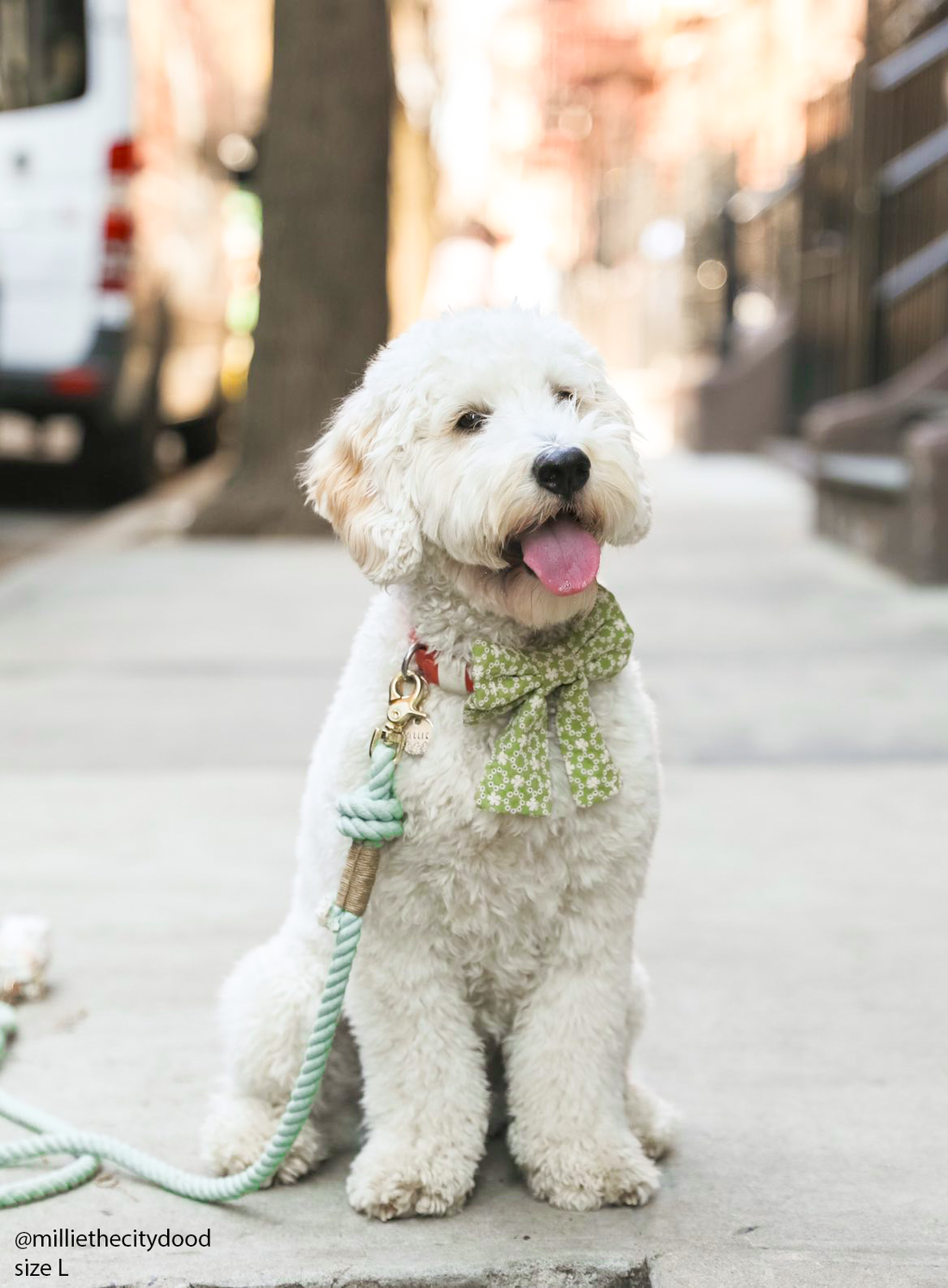 Olive Eyelet Sailor Dog Bow Tie