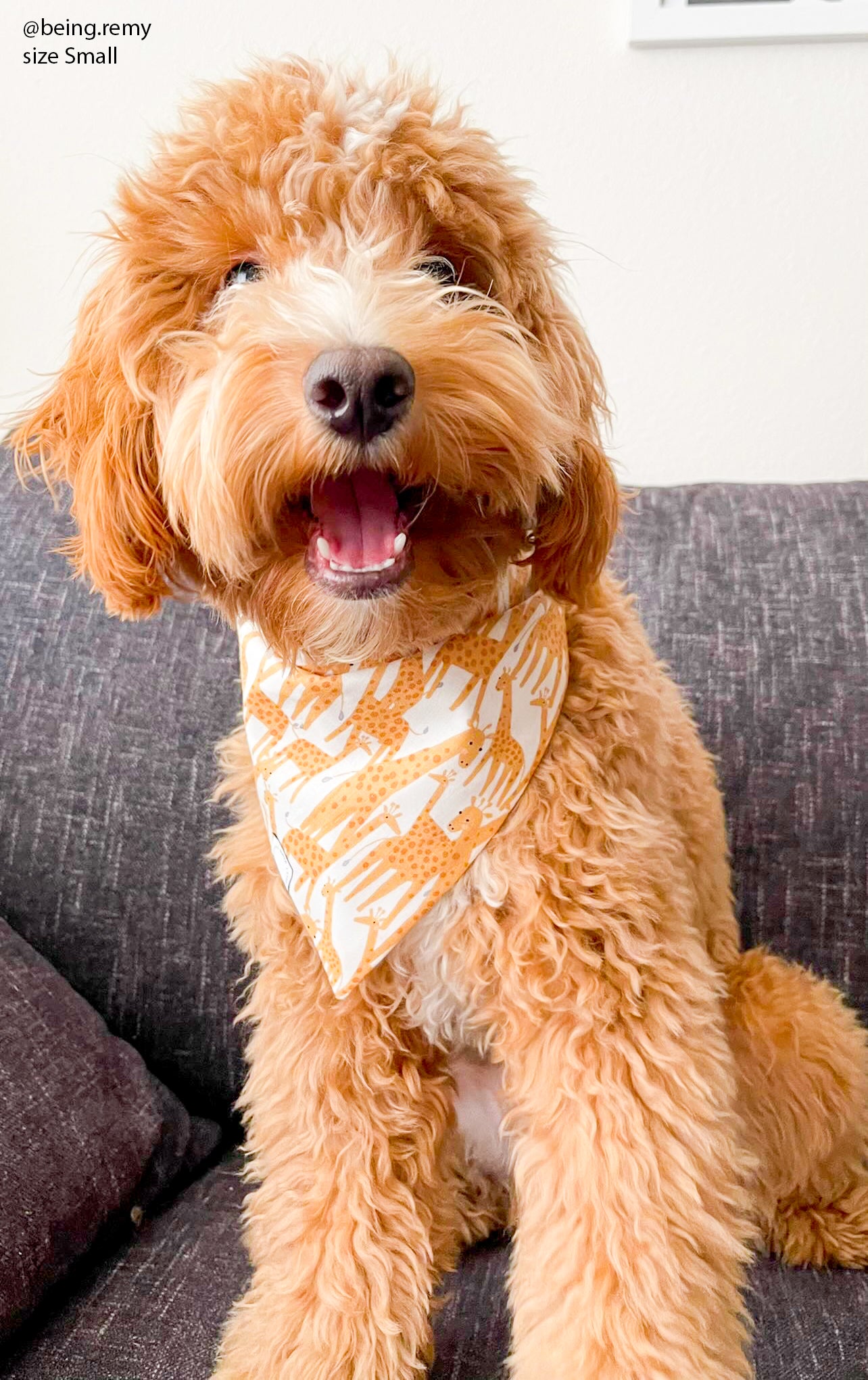 Giraffic Jam Dog Bandana - SUNNY TAILS