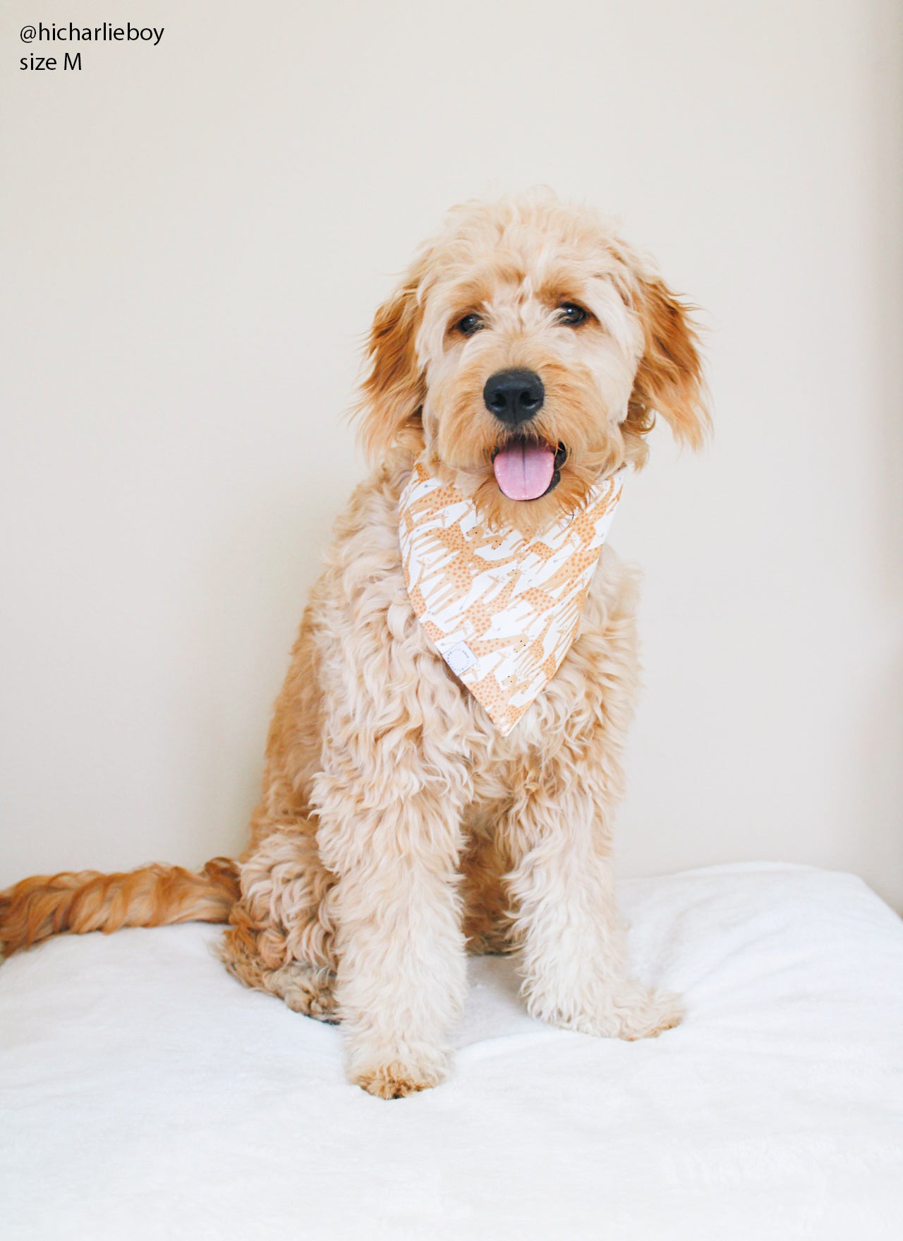 Giraffic Jam Dog Bandana - SUNNY TAILS