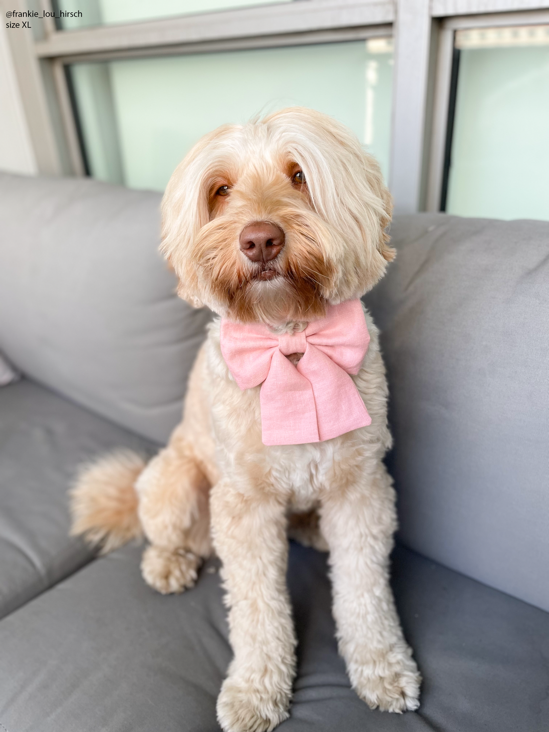 Peach Pink Linen Dog Sailor Bow