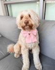 Peach Pink Linen Dog Sailor Bow - SUNNY TAILS
