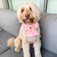 Peach Pink Linen Dog Sailor Bow