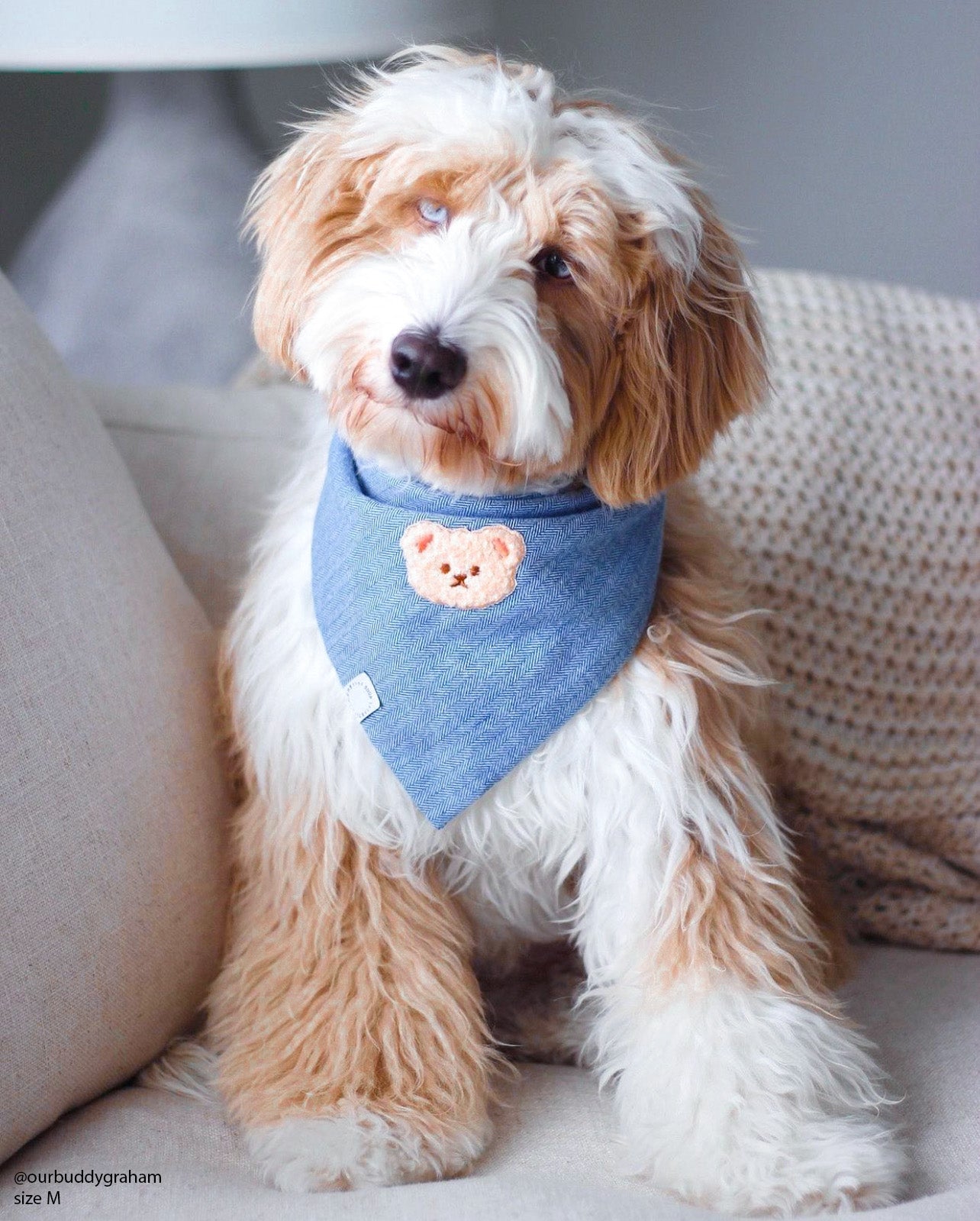 Blue Herringbone Flannel Teddy Bear Dog Bandana - SUNNY TAILS