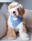 Blue Herringbone Flannel Teddy Bear Dog Bandana - SUNNY TAILS