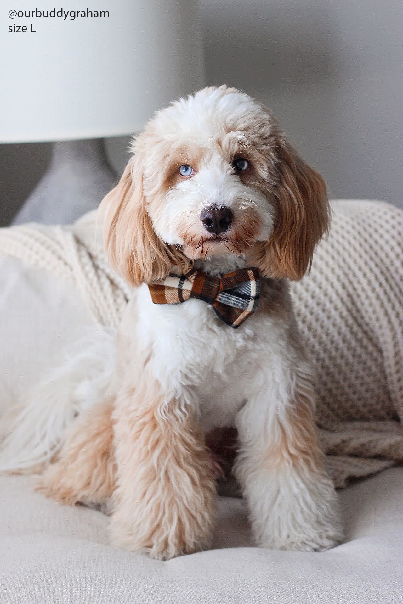 Harvest Plaid Flannel Bow Tie | Fall Dog Bow Tie | Shop Sunny Tails