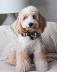 Harvest Plaid Flannel Bow Tie | Fall Dog Bow Tie | Shop Sunny Tails