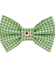 Carolina Green Gingham Dog Bow Tie - SUNNY TAILS