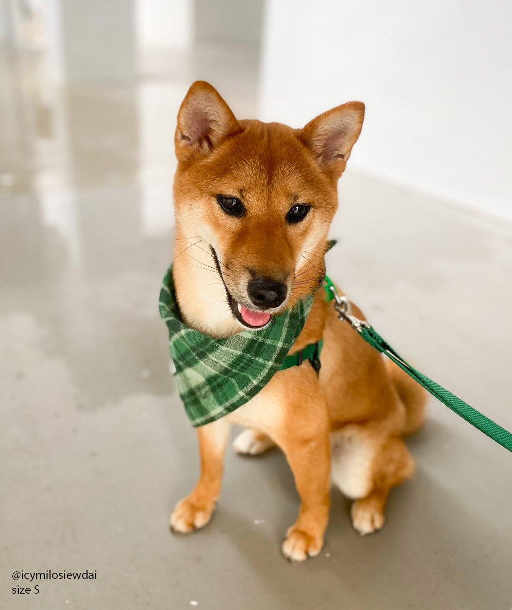 Forest Plaid Flannel Dog Bandana - SUNNY TAILS