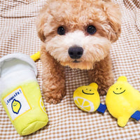 Lemonade & Lemons Nose Work Dog Toy