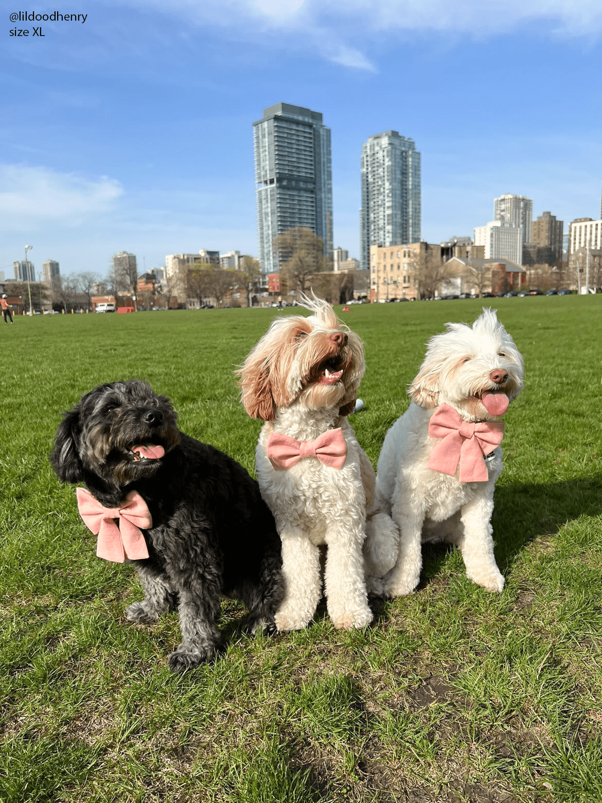 Peach Pink Linen Dog Sailor Bow - SUNNY TAILS