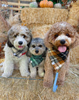 Harvest Plaid Flannel Dog Bandana - SUNNY TAILS