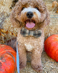 Woodland Plaid Flannel Dog Bow Tie