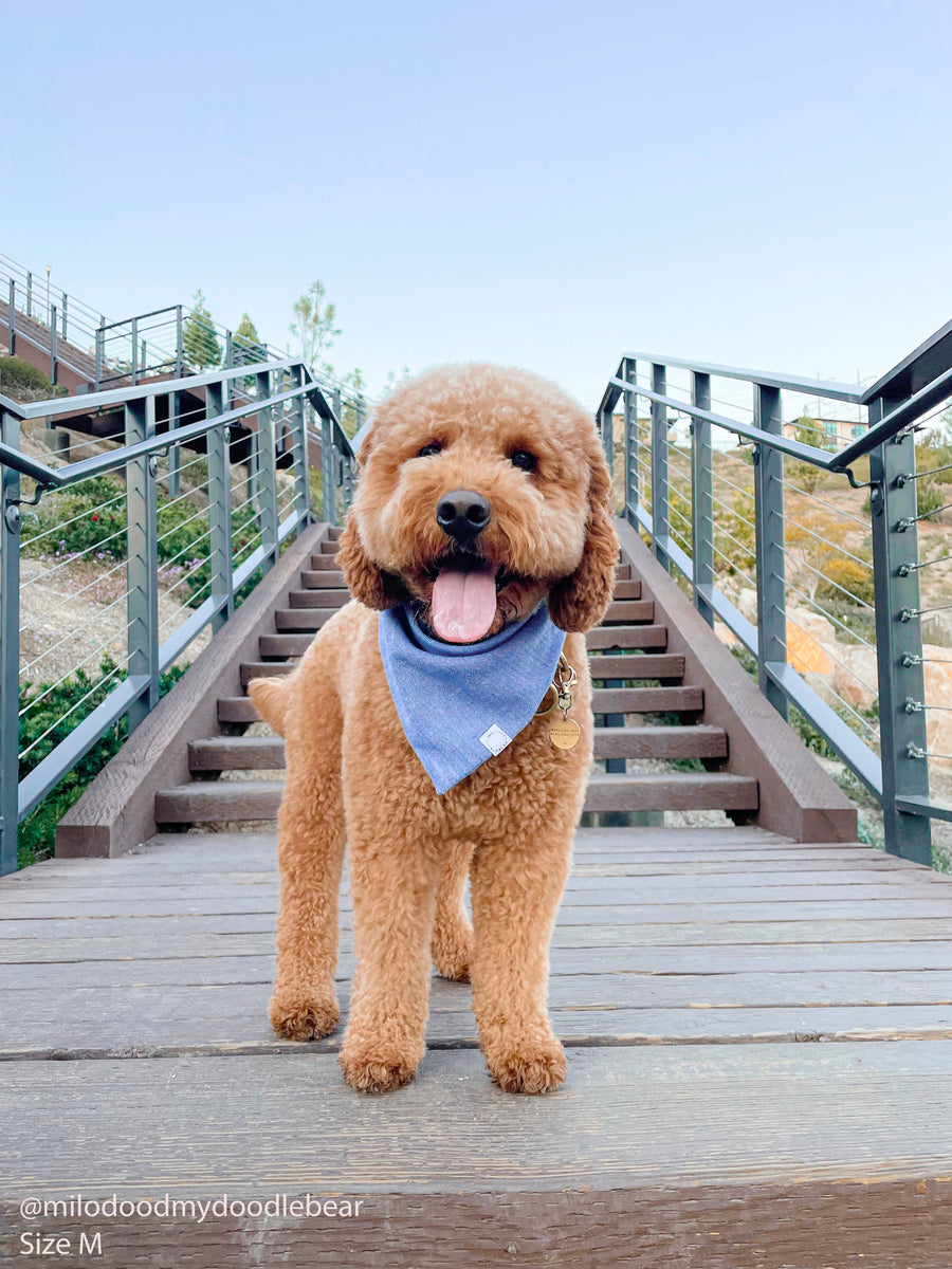 Blue Herringbone Flannel Dog Bandana | Teddy Bear Dog Bandana | Shop Sunny Tails