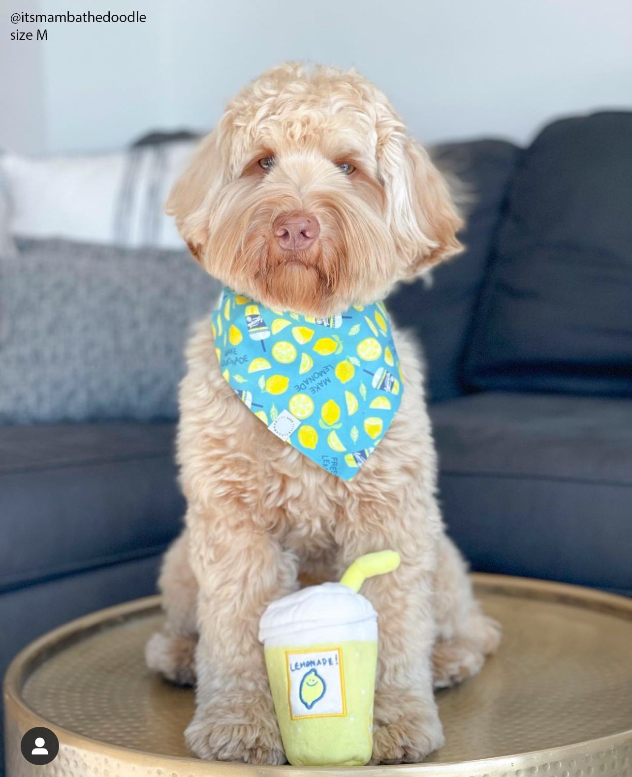 When Life Gives You Lemons Dog Bandana - SUNNY TAILS