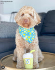 When Life Gives You Lemons Dog Bandana - SUNNY TAILS