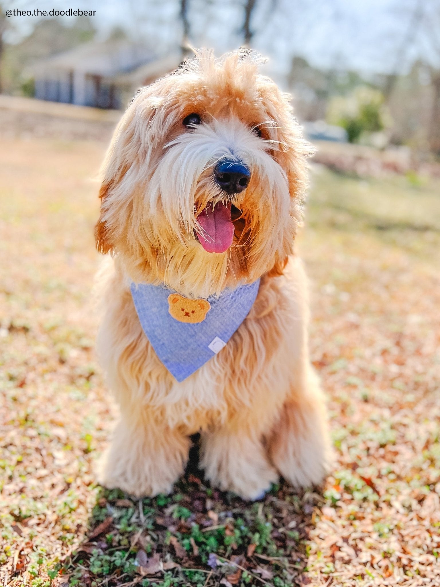 Blue Herringbone Flannel Teddy Bear Dog Bandana - SUNNY TAILS