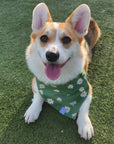 Blooming Daisies Green Dog Bandana - SUNNY TAILS