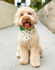 Lucky Clover Corduroy Dog Bandana - SUNNY TAILS