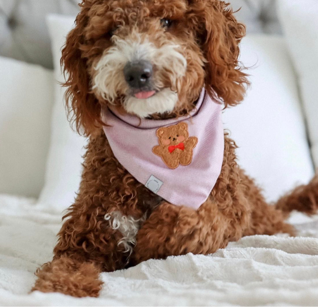 Spring Violet Herringbone Teddy Dog Bandana