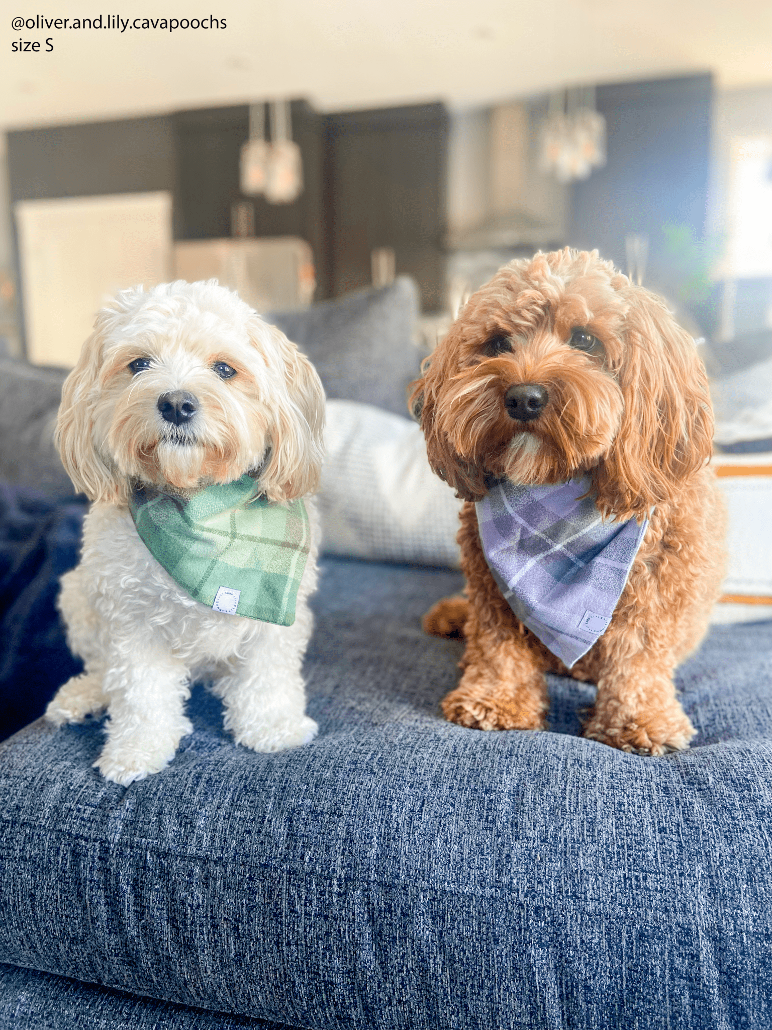 Purple Plaid Flannel Dog Bandana - SUNNY TAILS