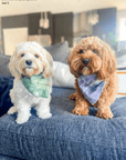Purple Plaid Flannel Dog Bandana - SUNNY TAILS