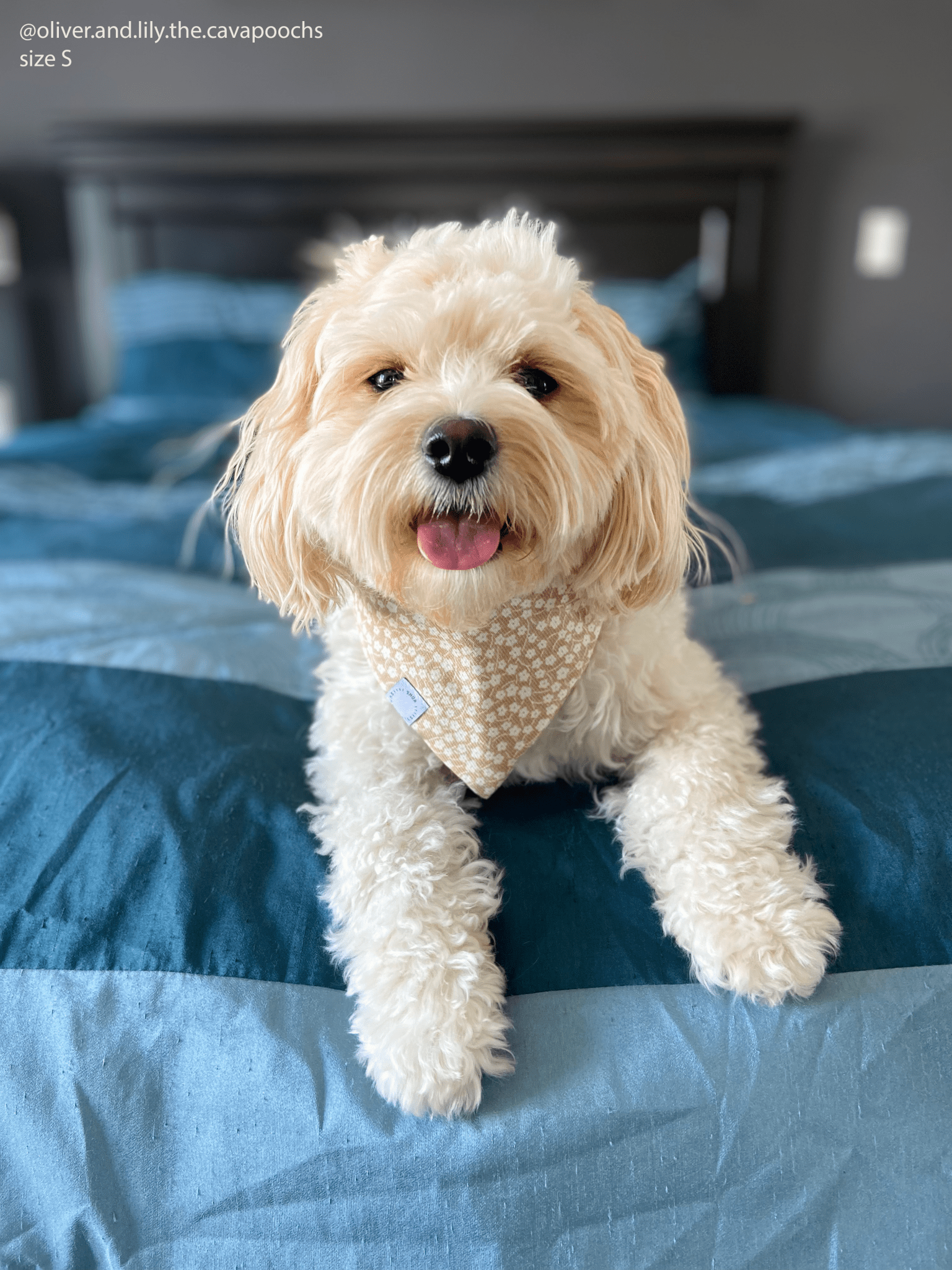 Corduroy Everyday Floral Dog Bandana - SUNNY TAILS
