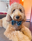 Corduroy Floral Dog Bow Tie - SUNNY TAILS