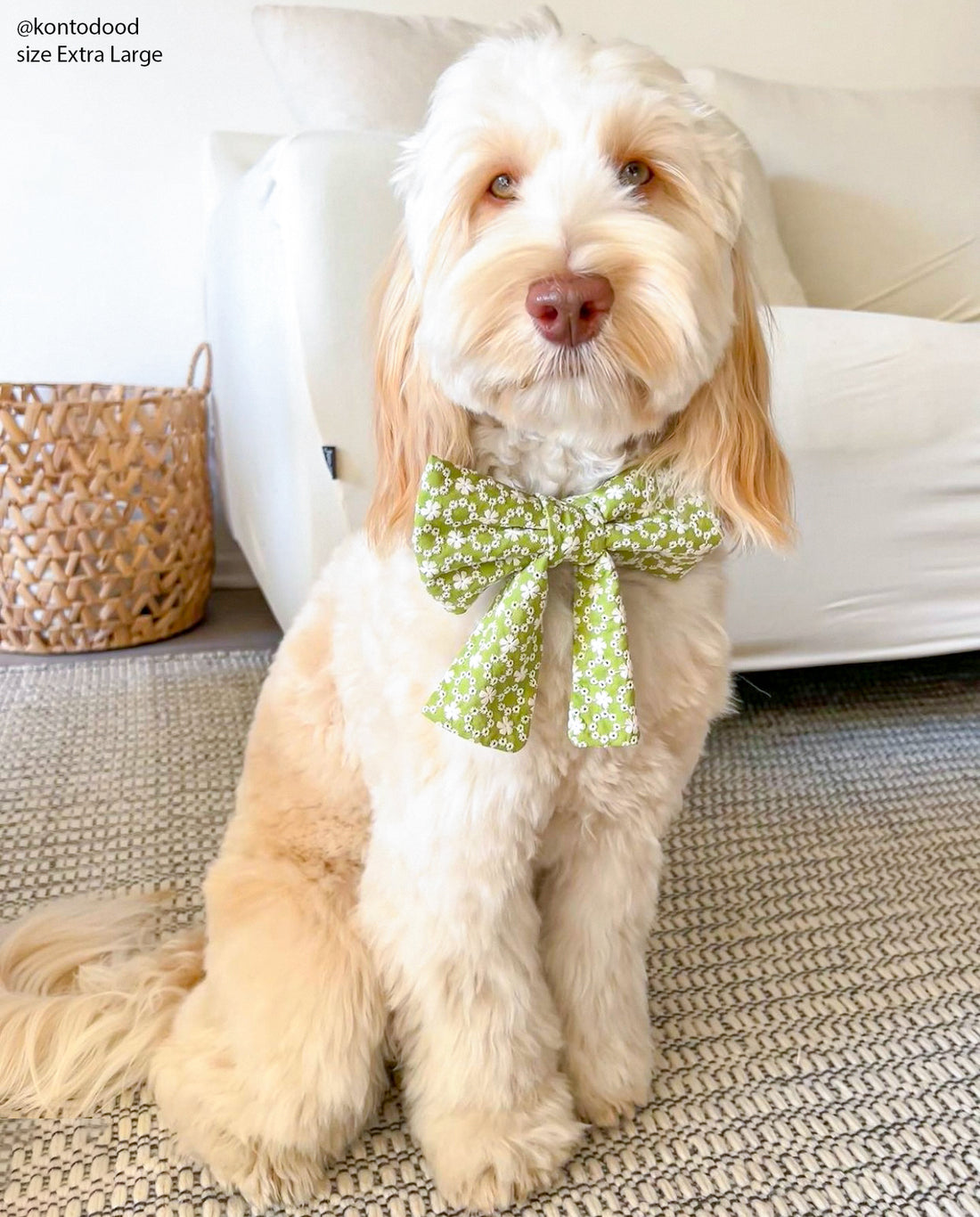 Olive Eyelet Sailor Dog Bow Tie