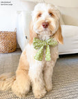Olive Eyelet Sailor Dog Bow Tie - SUNNY TAILS
