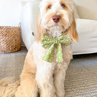 Olive Eyelet Sailor Dog Bow Tie