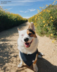 Classic Navy Dog Bandana - SUNNY TAILS