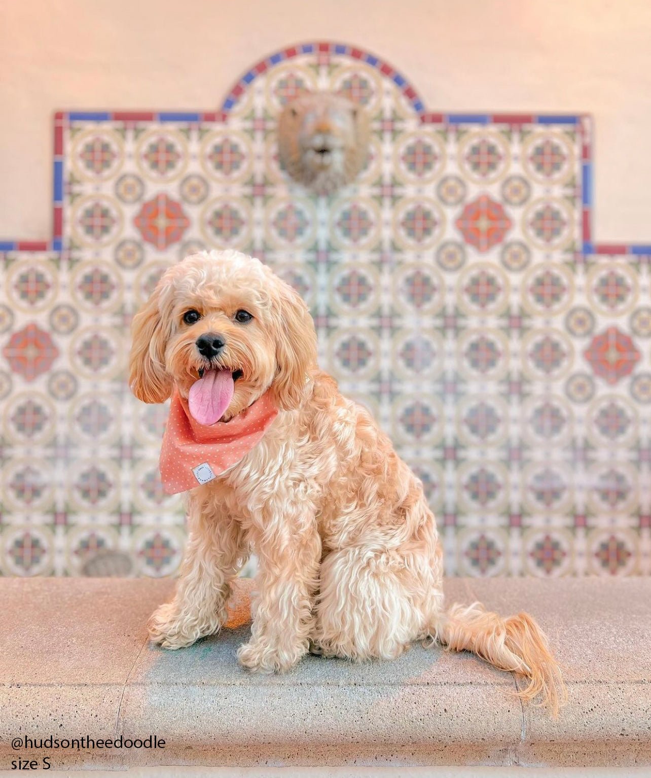Classic Melon Dog Bandana - SUNNY TAILS