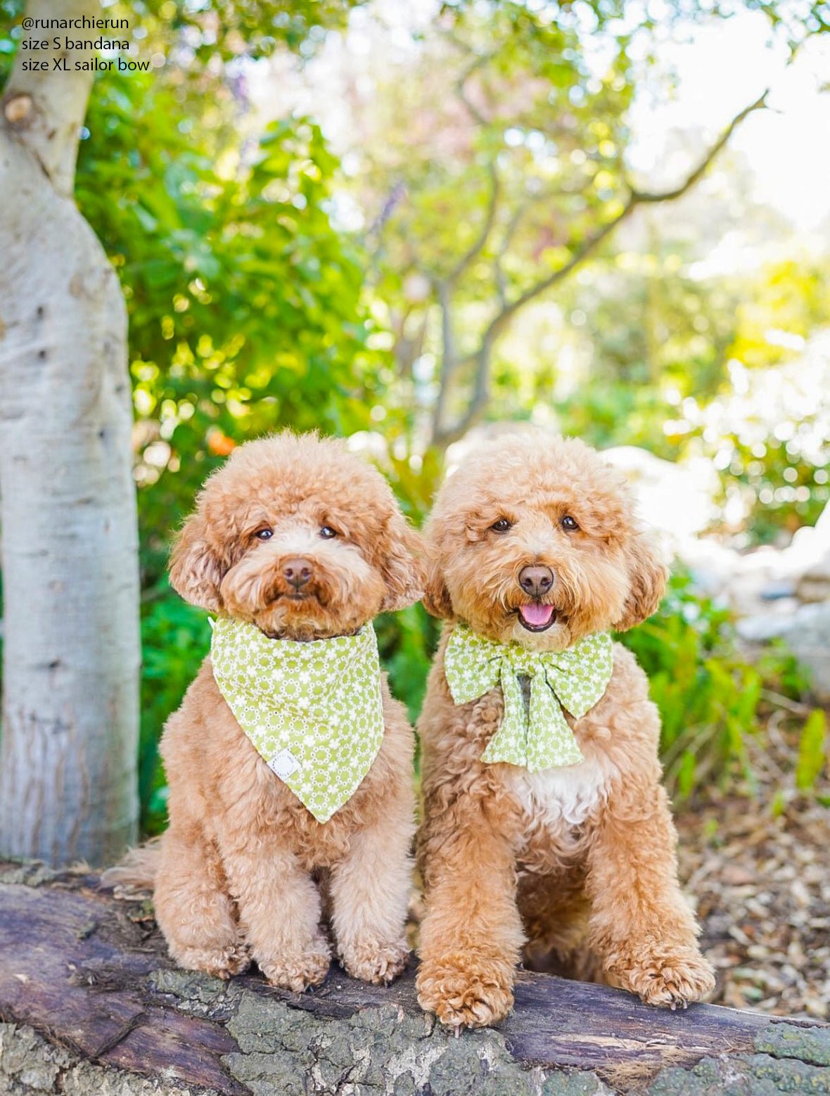 Olive Eyelet Sailor Dog Bow Tie - SUNNY TAILS