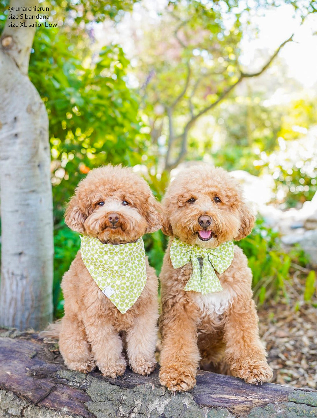 Olive Eyelet Sailor Dog Bow Tie