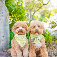 Olive Eyelet Sailor Dog Bow Tie