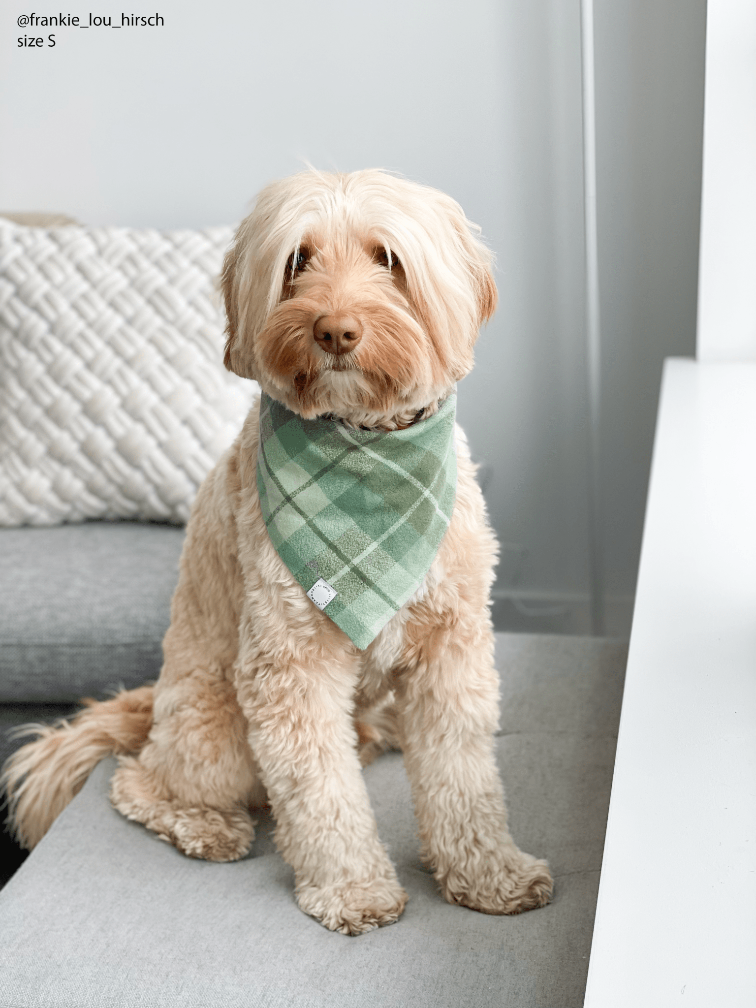 Sage Plaid Flannel Dog Bandana - SUNNY TAILS