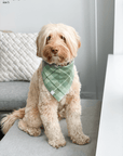 Sage Plaid Flannel Dog Bandana - SUNNY TAILS