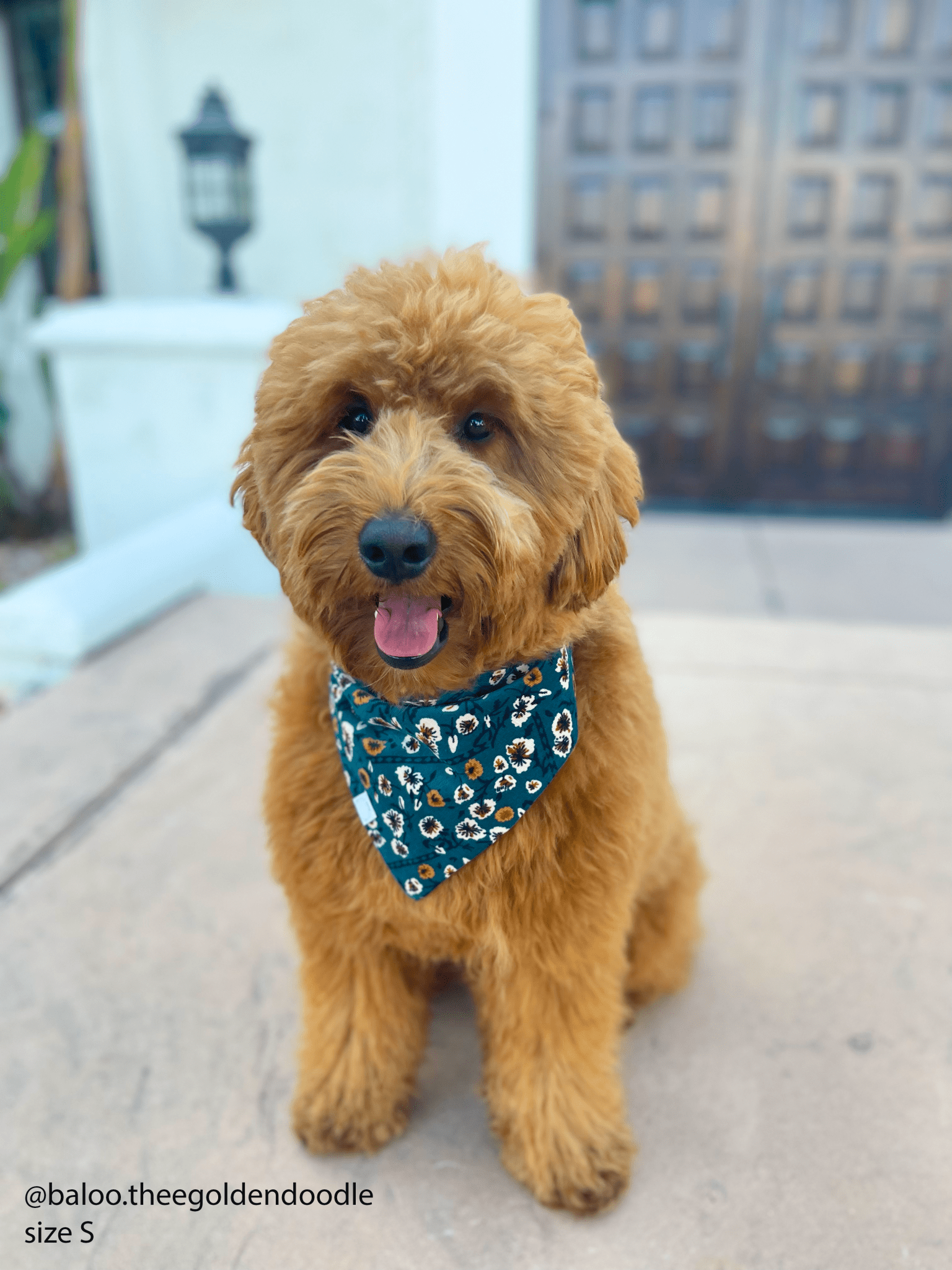 Corduroy Floral Dog Bandana - SUNNY TAILS