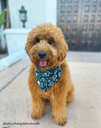 Corduroy Floral Dog Bandana - SUNNY TAILS
