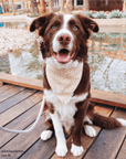Corduroy Everyday Floral Dog Bandana - SUNNY TAILS
