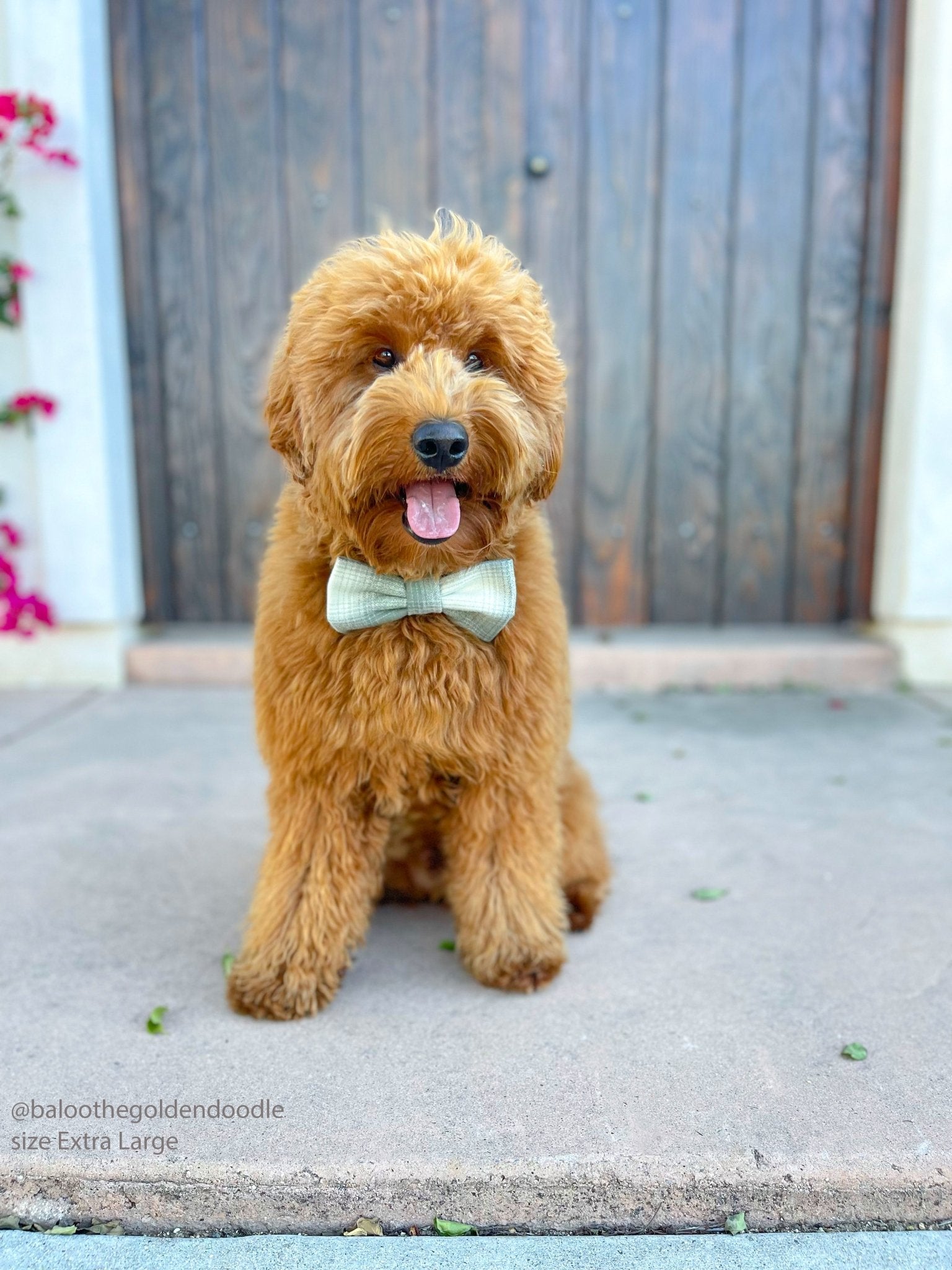 Moss Green Flannel Dog Bow Tie - SUNNY TAILS